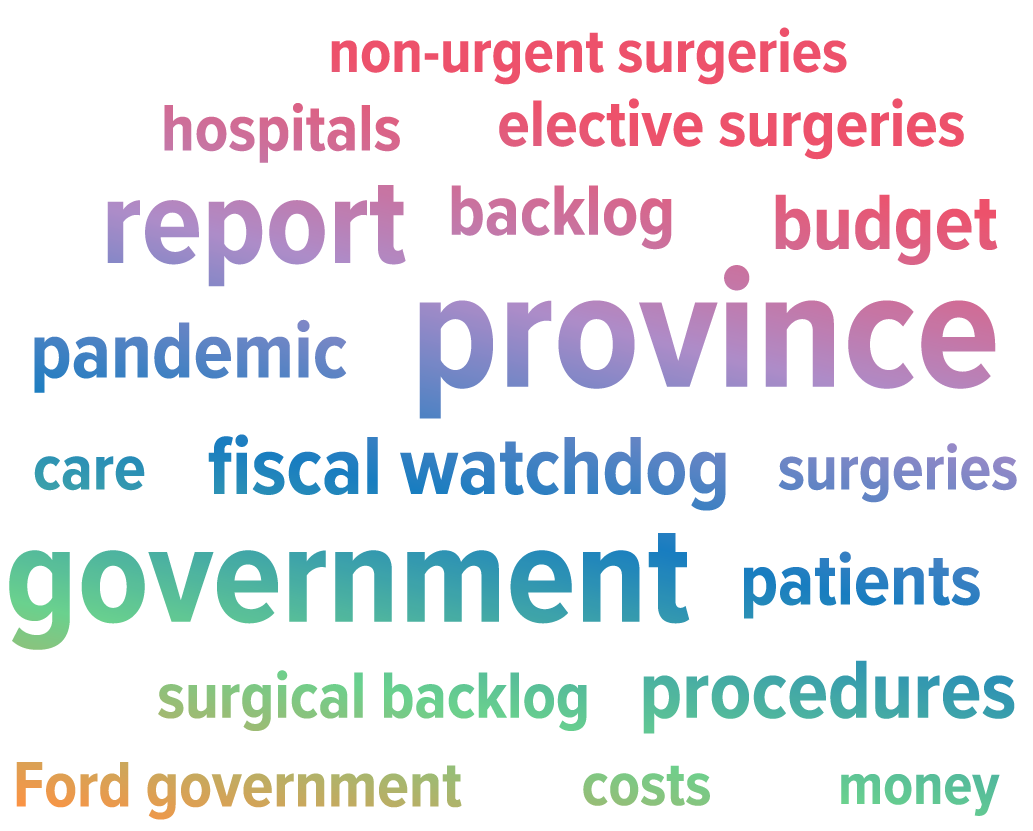 As highlighted in the word cloud, FAO reports were frequently mentioned in the media when covering pandemic-related issues, such as the backlog for elective surgeries and diagnostic procedures.