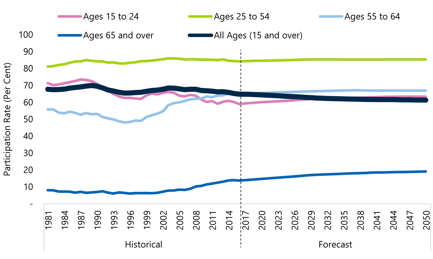 Participation rates by age group
